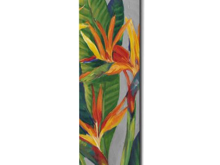 Bird of Paradise Triptych II  by Tim O Toole, Canvas Wall Art Online Sale