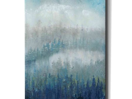 Above the Mist II  by Tim O Toole, Canvas Wall Art Fashion