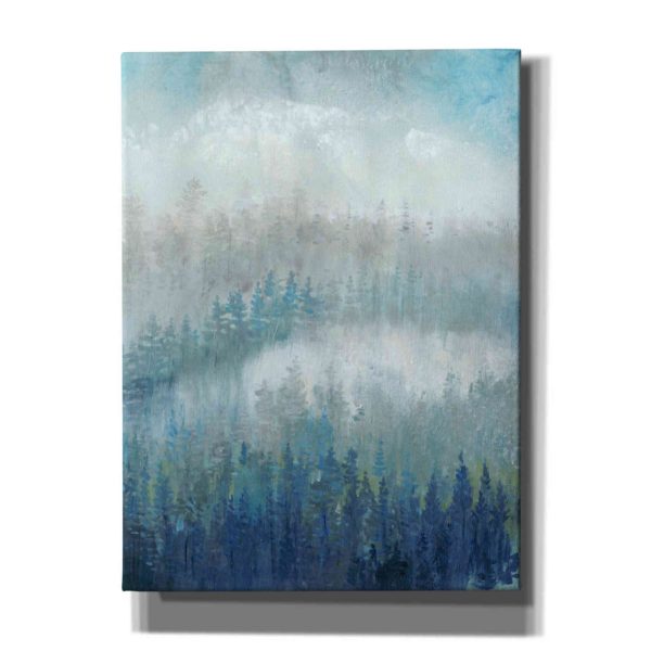 Above the Mist II  by Tim O Toole, Canvas Wall Art Fashion