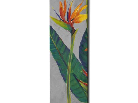 Bird of Paradise Triptych I  by Tim O Toole, Canvas Wall Art Hot on Sale