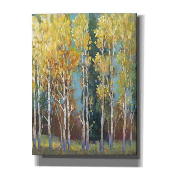 Aspen Grove I  by Tim O Toole, Canvas Wall Art Online Hot Sale