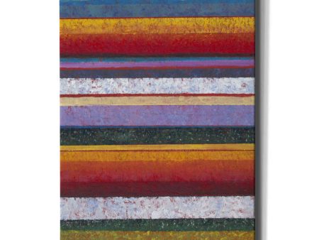 Tulip Fields I  by Tim O Toole, Canvas Wall Art on Sale