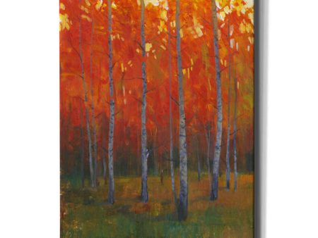 Changing Colors II  by Tim O Toole, Canvas Wall Art Discount