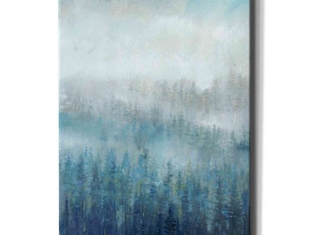 Above the Mist I  by Tim O Toole, Canvas Wall Art For Sale