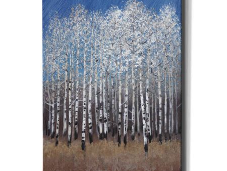 Cobalt Birches II  by Tim O Toole, Canvas Wall Art Cheap