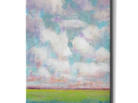 Clouds in Motion I  by Tim O Toole, Canvas Wall Art Hot on Sale