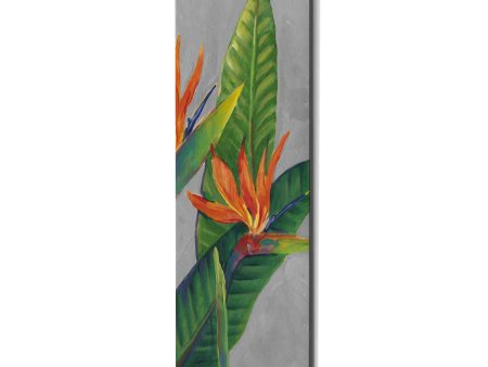 Bird of Paradise Triptych III  by Tim O Toole, Canvas Wall Art Online