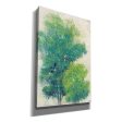 A Pair of Trees I  by Tim O Toole, Canvas Wall Art Online