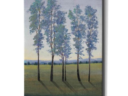 Acreage II  by Tim O Toole, Canvas Wall Art Discount