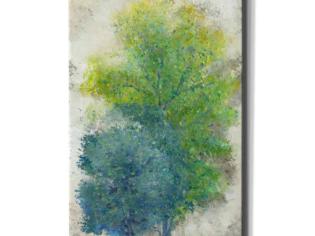 A Pair of Trees II  by Tim O Toole, Canvas Wall Art Cheap