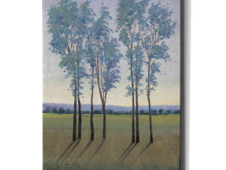 Acreage I  by Tim O Toole, Canvas Wall Art Fashion