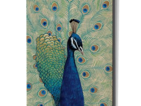 Blue Peacock I  by Tim O Toole, Canvas Wall Art Discount