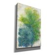 A Pair of Trees II  by Tim O Toole, Canvas Wall Art Cheap