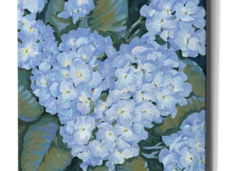 Blue Hydrangeas II  by Tim O Toole, Canvas Wall Art Online