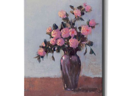 Soft Lit Roses I  by Tim O Toole, Canvas Wall Art Supply