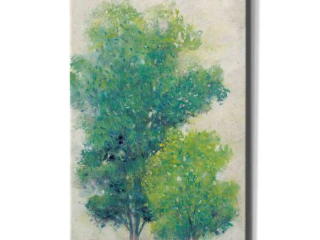 A Pair of Trees I  by Tim O Toole, Canvas Wall Art Online