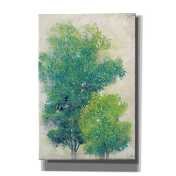 A Pair of Trees I  by Tim O Toole, Canvas Wall Art Online