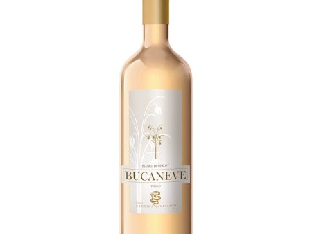 Bucaneve Bianco di Merlot Ticino DOC 75 CL Online now