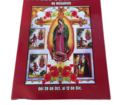 46 Rosarios a la Virgen de Guadalupe Online Hot Sale