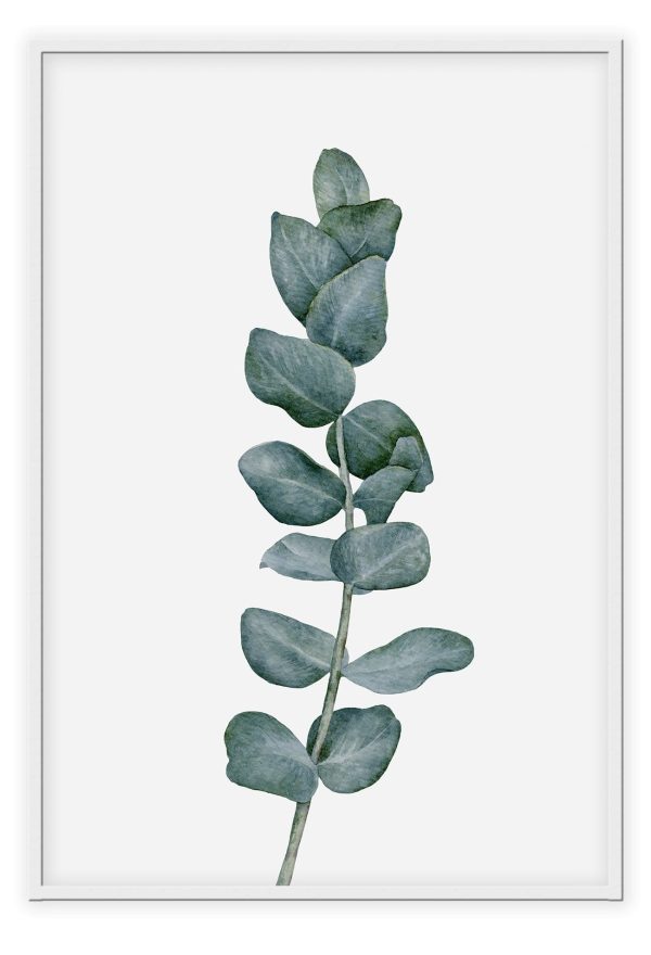 Sketchy Eucalyptus on Sale