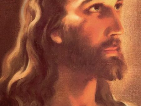 Avisos sobre Cristo (SMM) Online