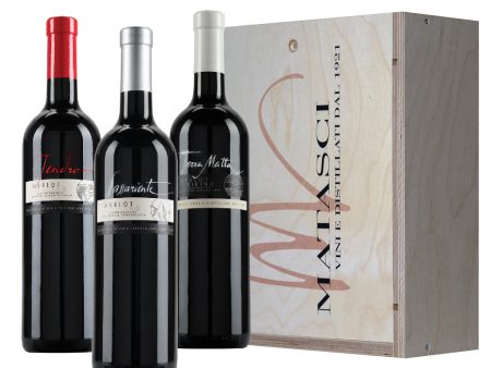 Cassetta Linea Terroir 3x75 CL Ticino DOC Merlot For Discount