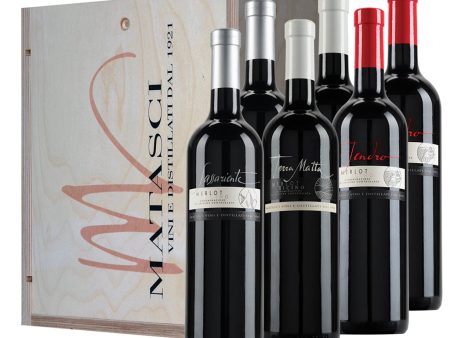 Cassetta Linea Terroir 6x75 CL Online