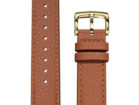 Brown Italian Leather Strap   Gold Buckle on Sale