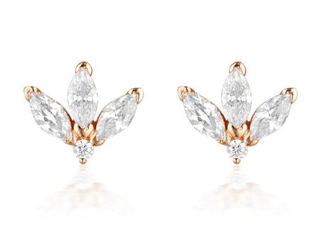 Georgini Noel Nights Misstletoe Earrings Rose Gold For Cheap